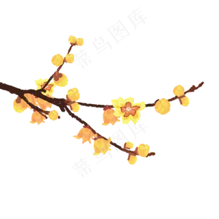 手绘腊梅枝头梅花