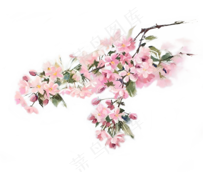 七夕情人节粉红浪漫手绘樱花高清(1080X871(DPI:72))psd模版下载