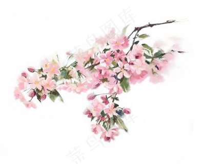 七夕情人节粉红浪漫手绘樱花高清