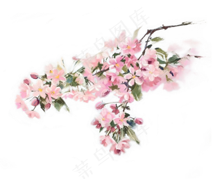 七夕情人节粉红浪漫手绘樱花高清