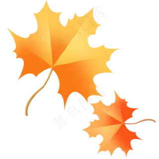 秋天植物叶子落叶
