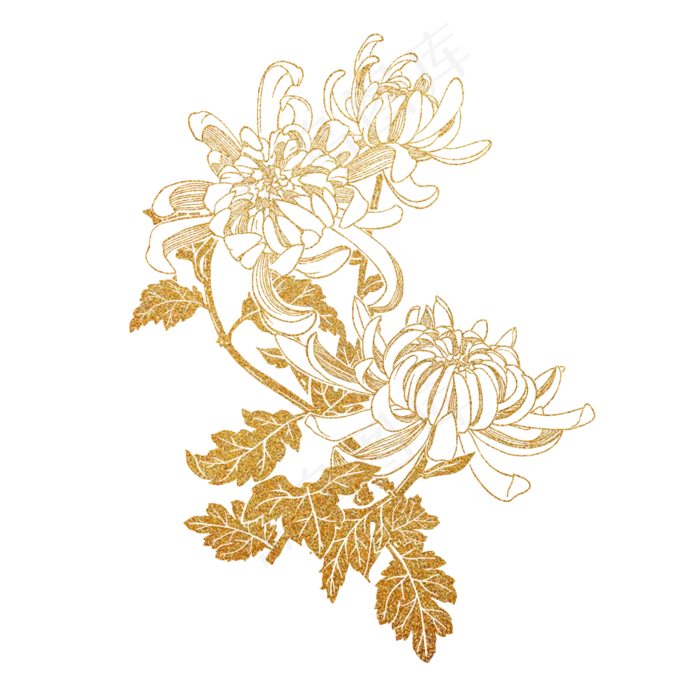 秋季烫金菊花装饰(2000X2000(DPI:300))psd模版下载