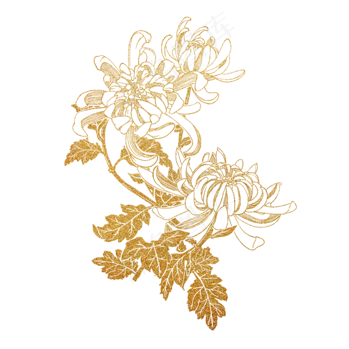 秋季烫金菊花装饰(2000X2000(DPI:300))psd模版下载