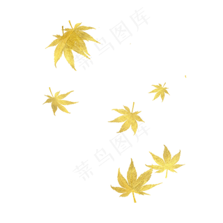 金箔枫叶剪影