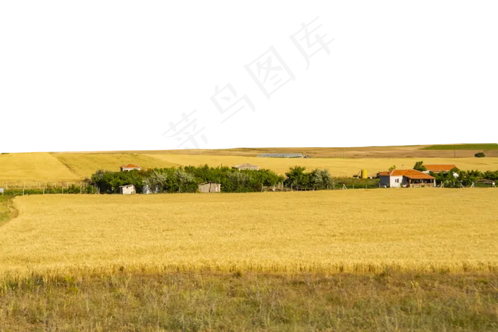 麦田里的房子(2000X1333(DPI:300))psd模版下载