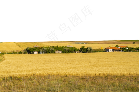 麦田里的房子