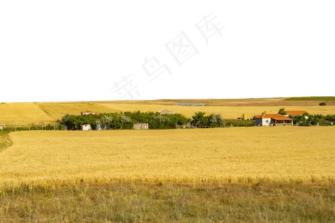 麦田里的房子 麦田里的房子