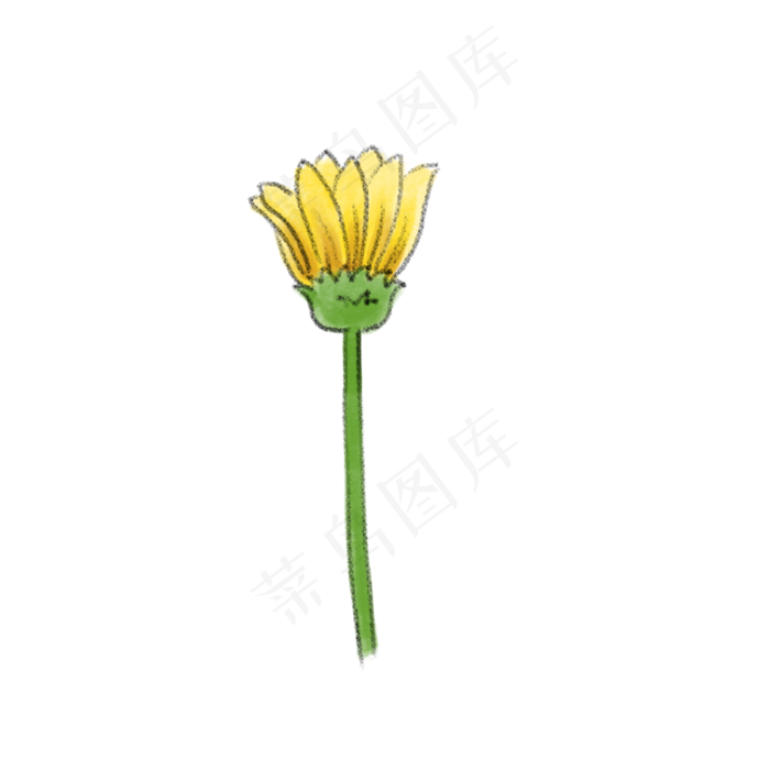 秋天立秋金黄色野菊花水彩特写花(3000X3000(DPI:300))psd模版下载