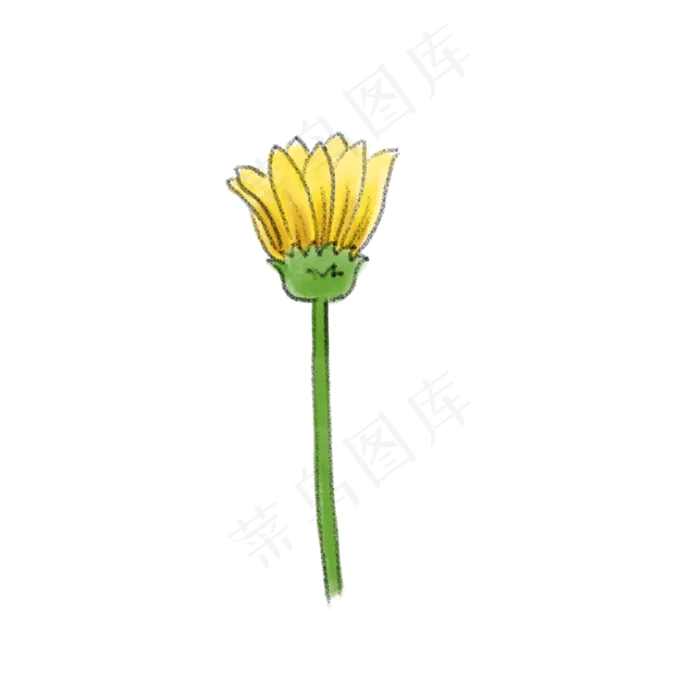 秋天立秋金黄色野菊花水彩特写花(3000X3000(DPI:300))psd模版下载