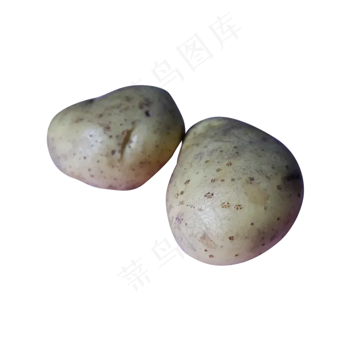 马铃薯土豆蔬菜(2000X2000(DPI:300))