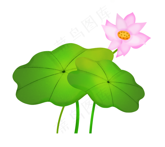 夏至淡彩荷花(2470X2204(DPI:300))psd模版下载