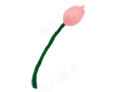 粉色含苞未放的荷花