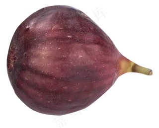 单个无花果,免抠元素