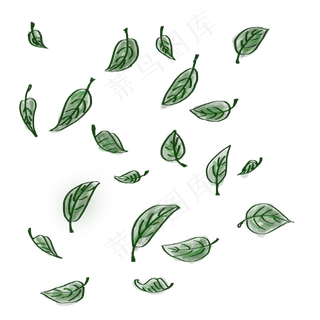 手绘绿色简笔叶子