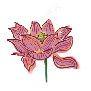 晕染粉色荷花绿色荷叶