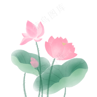 荷花芙蓉水墨画免扣