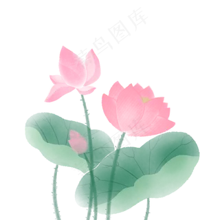 荷花芙蓉水墨画免扣