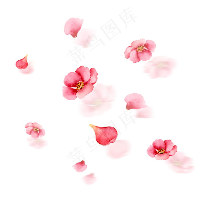植物花瓣漂浮气氛免抠图案(1181X1181(DPI:150))psd模版下载