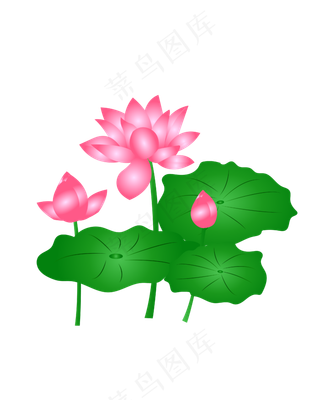 卡通粉色莲花免扣