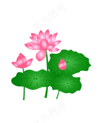 卡通粉色莲花免扣