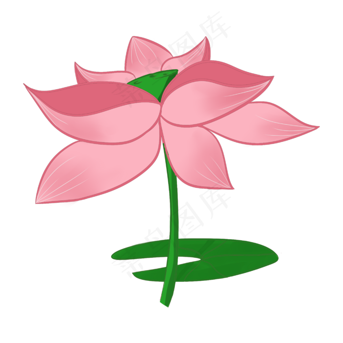 一朵粉色荷花插画