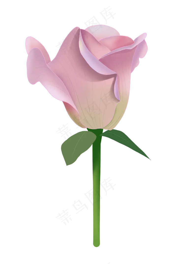 仿真花卉粉色玫瑰(2000X3068(DPI:300))psd模版下载