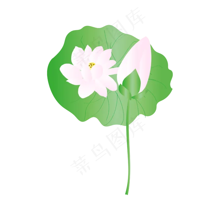 手绘卡通粉色荷花(4167*4167px 300 dpi )ai矢量模版下载