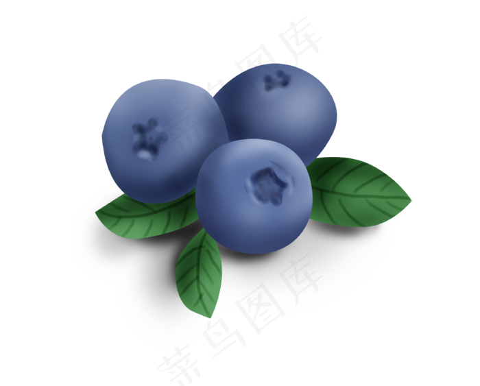 手绘暑假夏天蓝莓