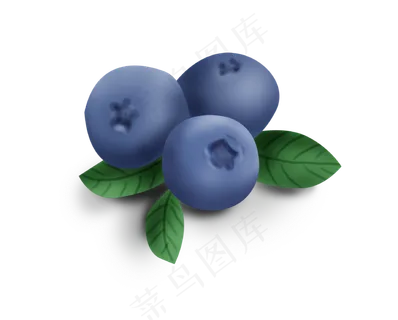 手绘暑假夏天蓝莓