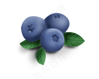 手绘暑假夏天蓝莓