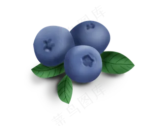 手绘暑假夏天蓝莓