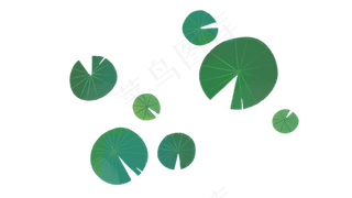 水彩荷叶植物荷花