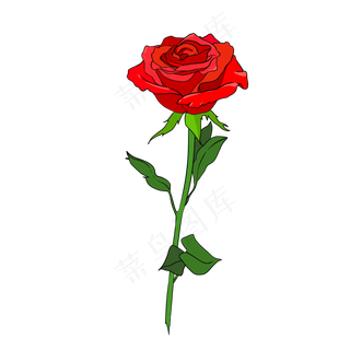 一支玫瑰花