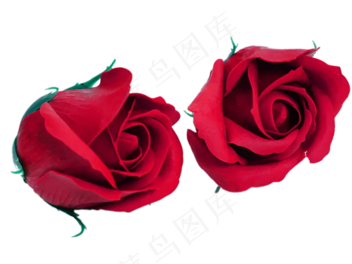 情人节玫瑰花(4000*3000px 300 dpi )