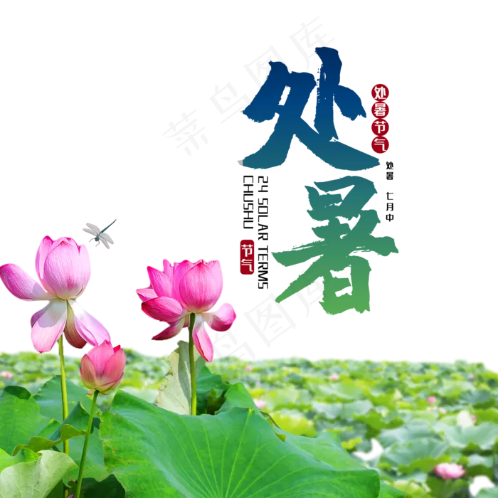 荷花处暑节气(2000X2000(DPI:300))psd模版下载