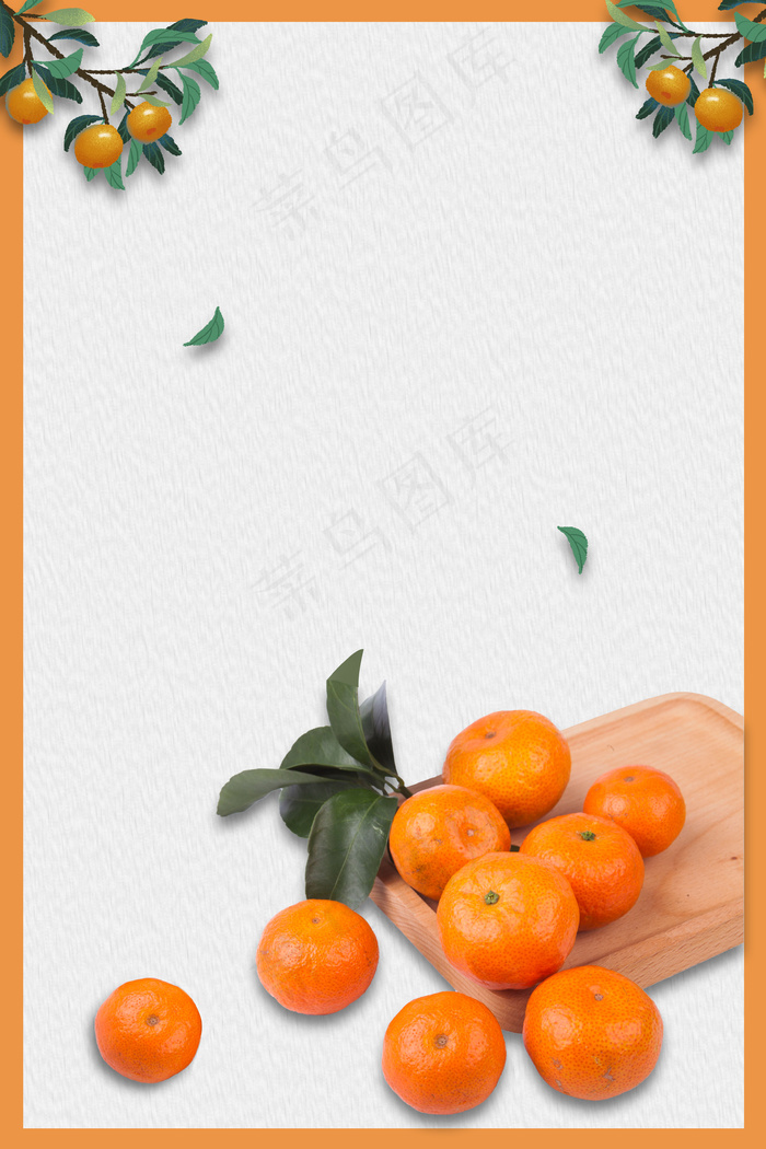 简洁水果赣南脐橙(3545*5315px 	      )psd模版下载