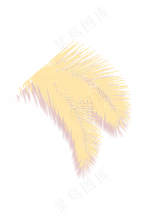 金黄色芭蕉树叶子叶片