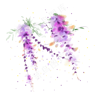 紫藤花水彩小清新素材