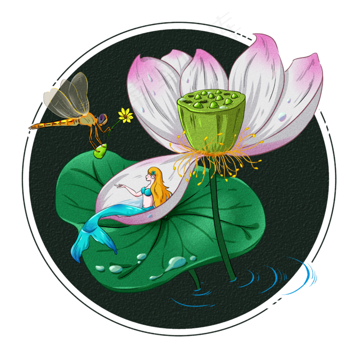 白露节气荷叶荷花节气蜻蜓露水美