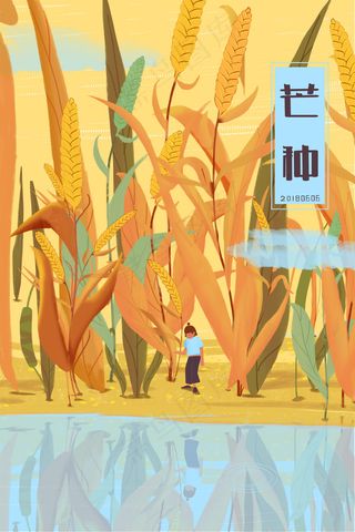 二十四节气之芒种