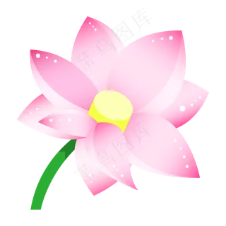 一朵粉色荷花插图