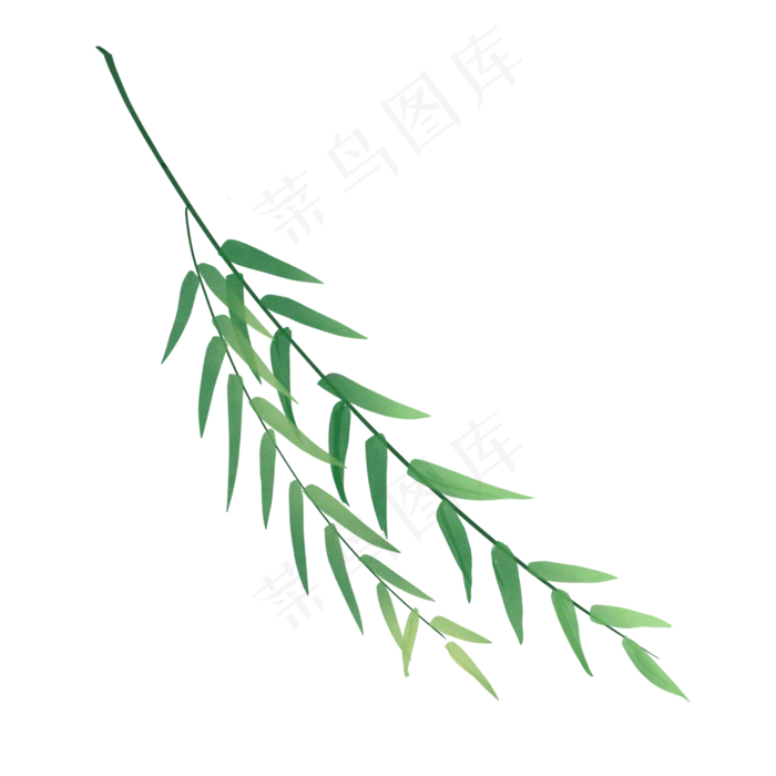春天手绘植物小清新柳叶,免抠元素(2000*2000px 300 dpi )psd模版下载