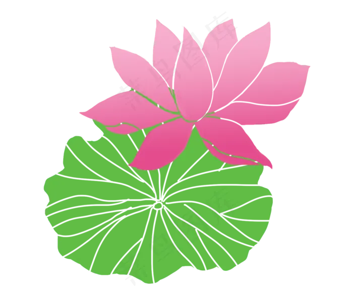 绿色荷叶和红色荷花(2333X2000(DPI:300))psd模版下载