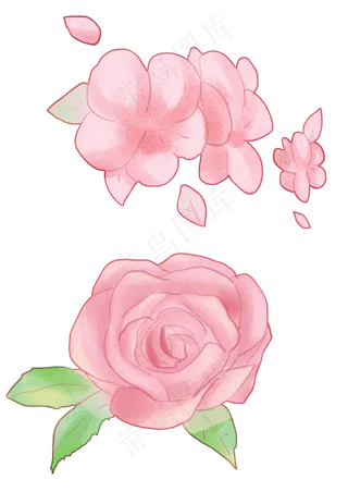 清新唯美粉色玫瑰花与桃花