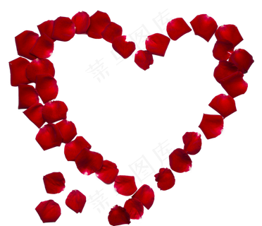 花瓣爱心
