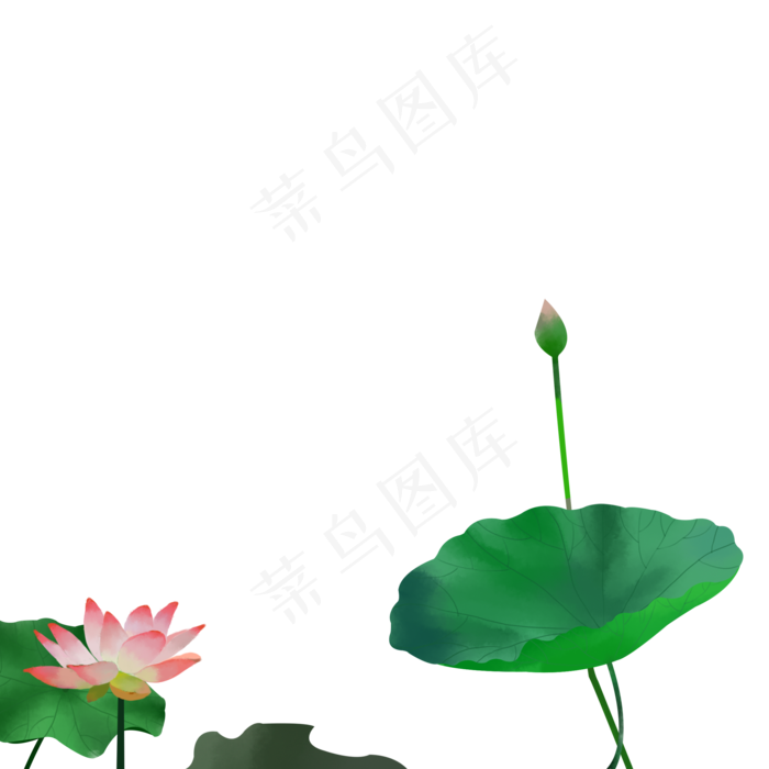 古风荷花插图元素下载(2000X2000(DPI:300))psd模版下载