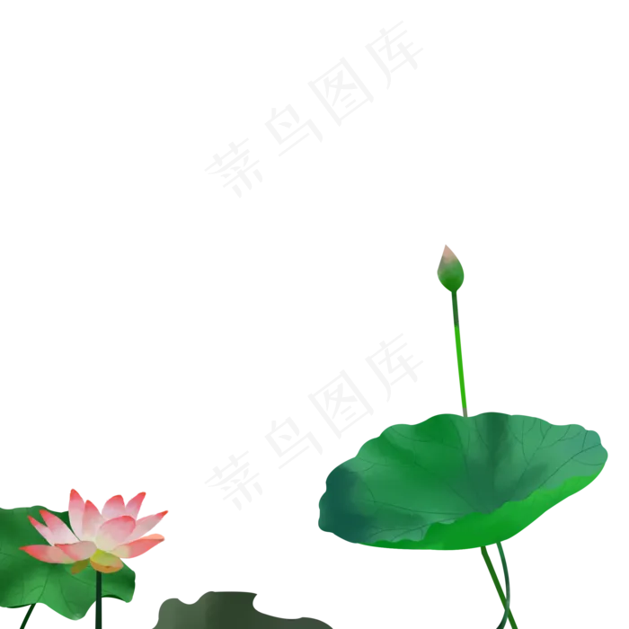 古风荷花插图元素下载(2000X2000(DPI:300))psd模版下载