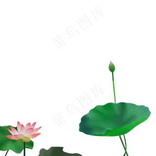 古风荷花插图元素下载