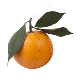 橘子（png免抠）