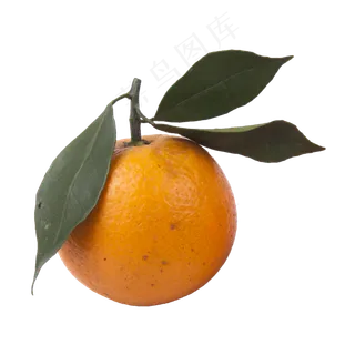 橘子（png免抠）